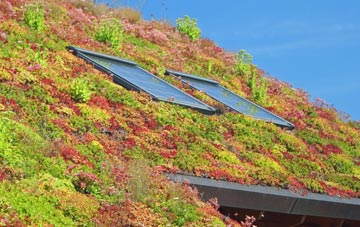 Claythorpe living roof systems