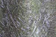 Claythorpe fibreglass roof work